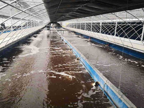 养殖场污水处理远程监测系统方案